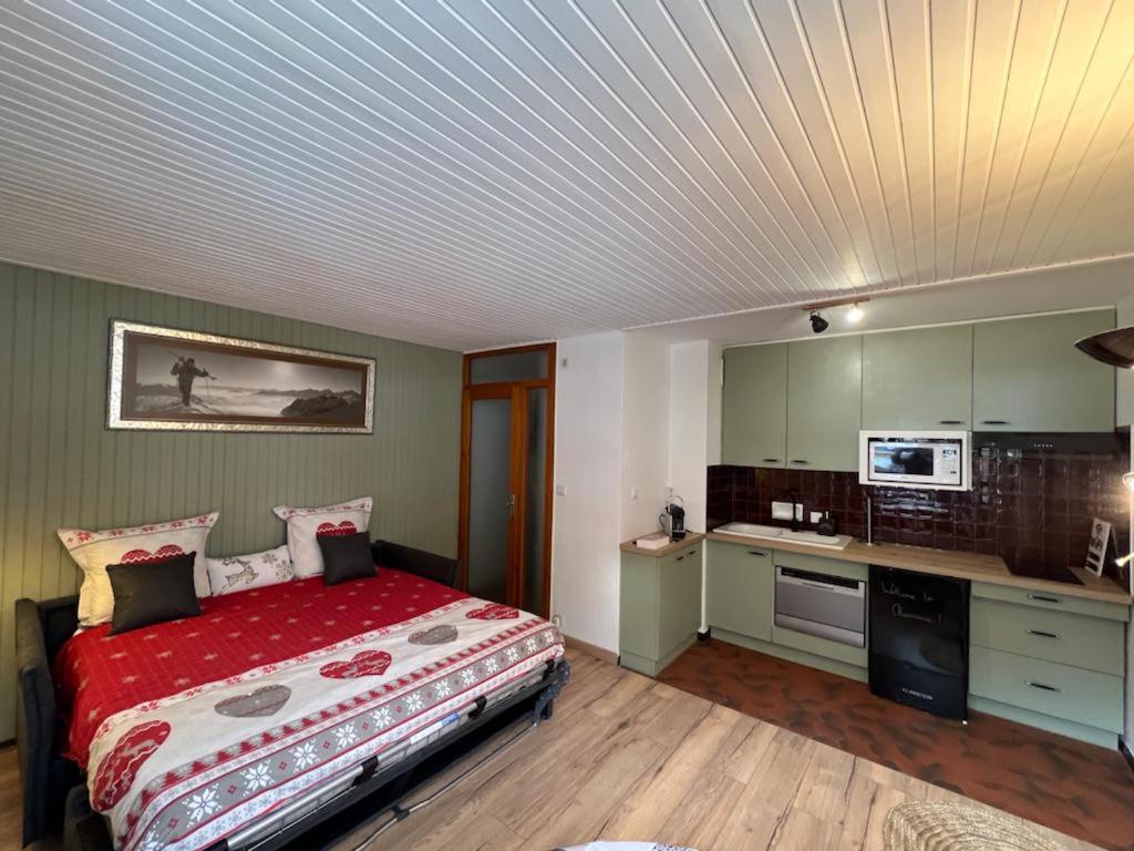 Studio Dent Du Caiman, Chamonix Hyper Centre, Parking, Vue Mont Blanc Екстериор снимка